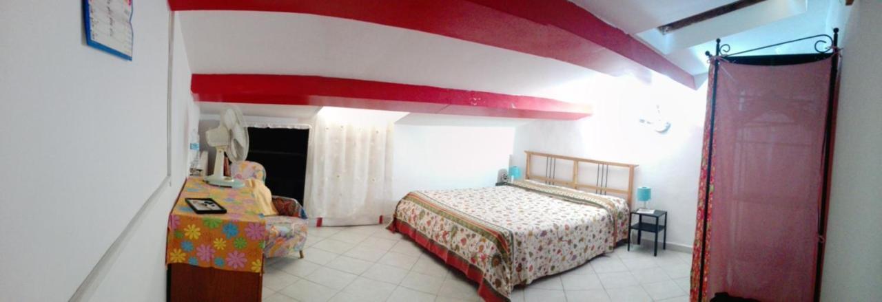 Mansarda Pieno Centro Appartement Livorno Buitenkant foto